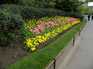  massif de fleurs bien entretenu, Regent's Park